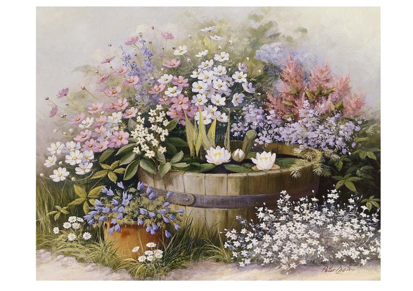 Цветы у кадки с водяными лилиями - цветы водяная лилия - оригинал