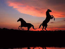 Схема вышивки «Вечерняя резвость коней»