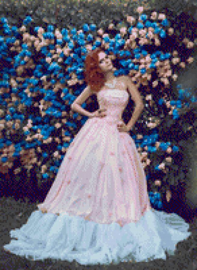 розы - предпросмотр