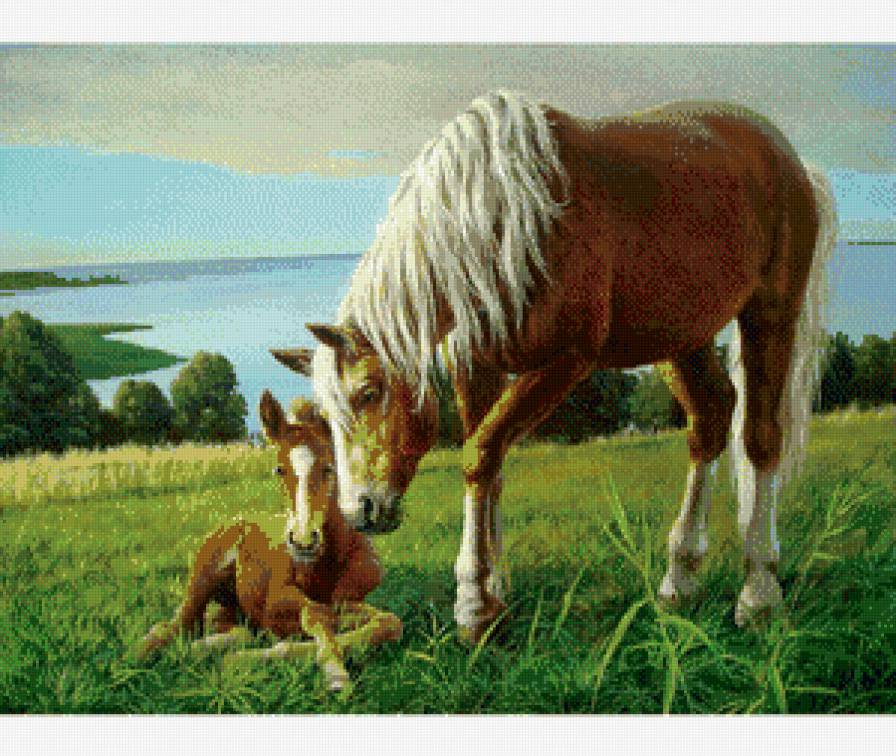 нежность - лошади - предпросмотр