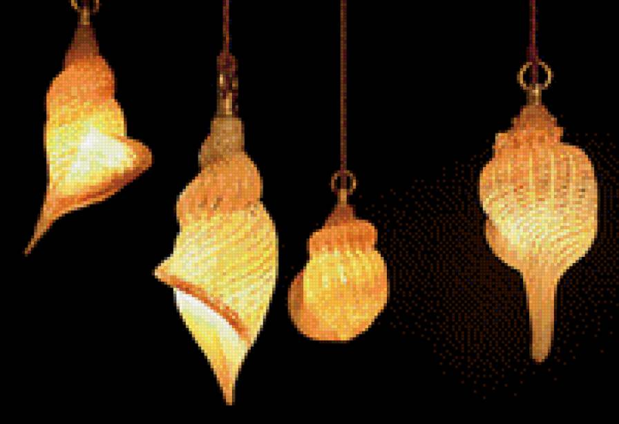 Ракушки на черном. 9 - черный фон, ракушка - предпросмотр