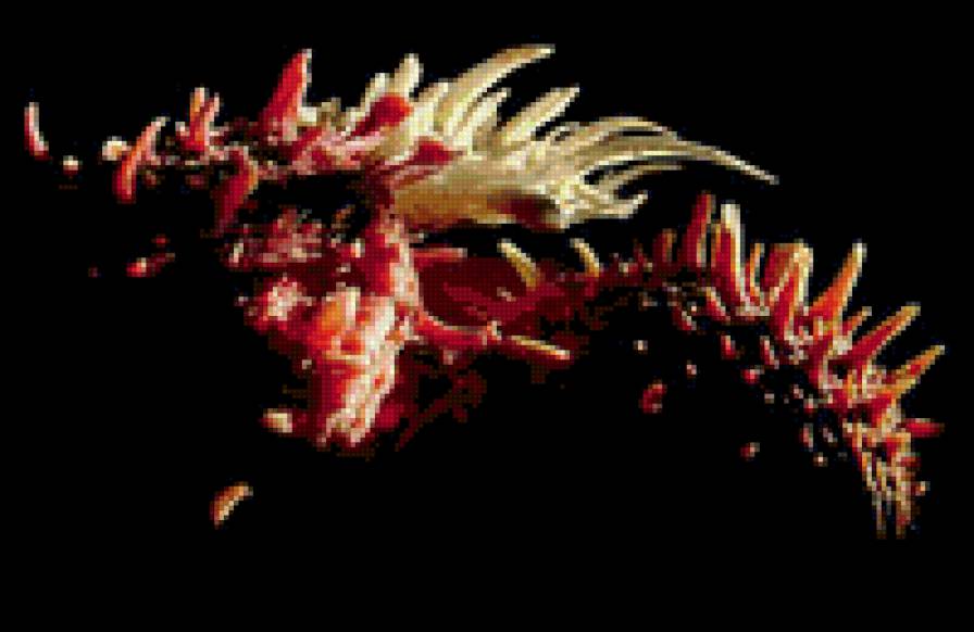 Ракушки на черном. 15 - ракушка, черный фон - предпросмотр