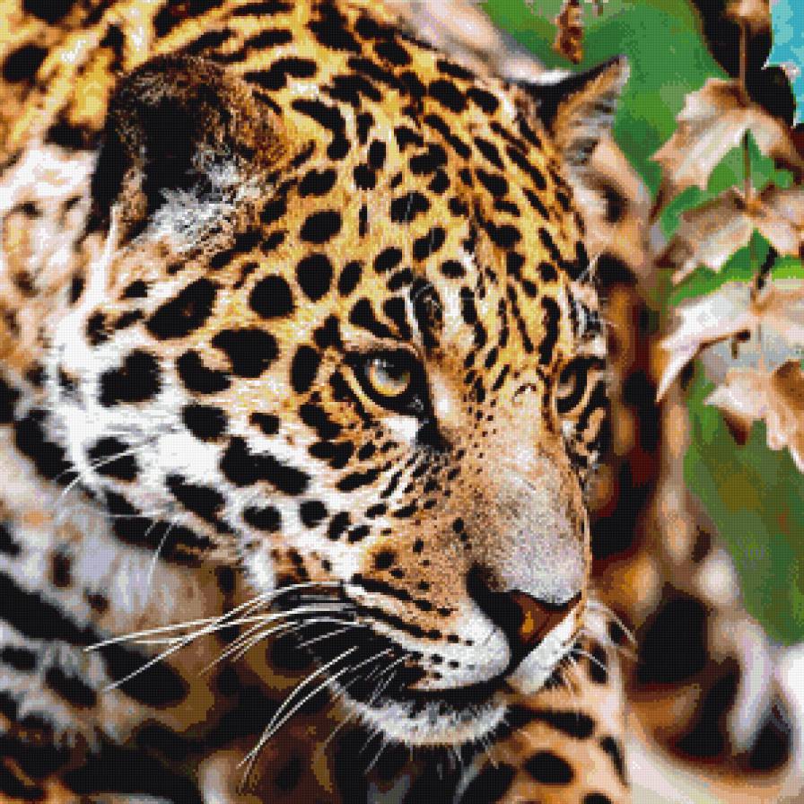 №1003122 - предпросмотр