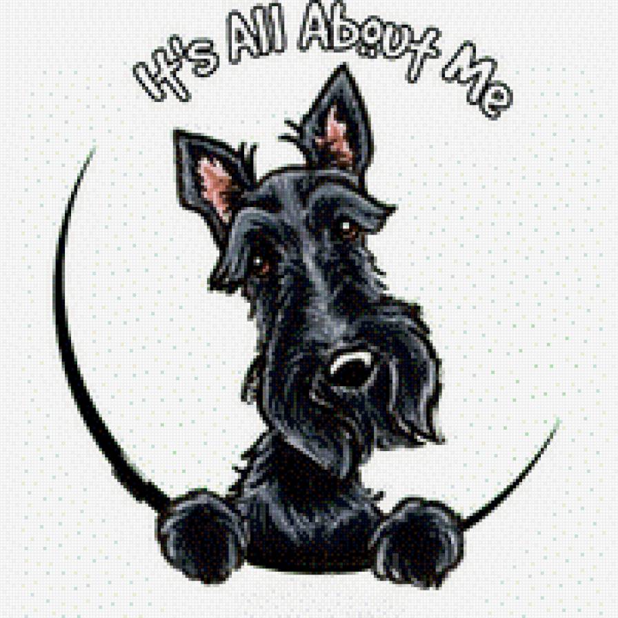 Скотч - это все обо мне - скотти, скотч терьер, животные, собаки - предпросмотр