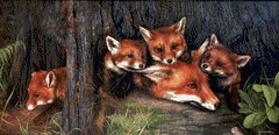 0228 - лиса, красота, животные, картина, живопись, лето, природа - предпросмотр