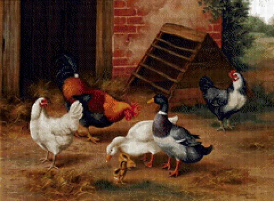 0229 - птицы, лето, природа, красота, живопись, картина - предпросмотр