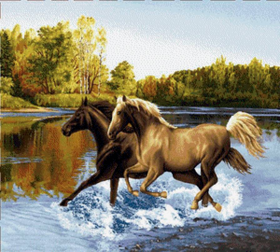 лошади - предпросмотр