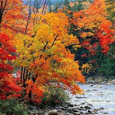 Схема вышивки «осень»