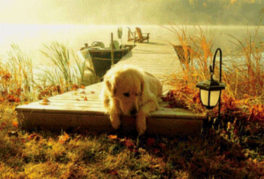 щенок - 1 - предпросмотр