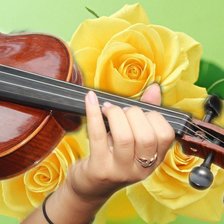 Схема вышивки «Скрипка»