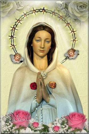 Rosa  Mistica - оригинал