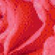 Предпросмотр схемы вышивки «розы» (№1005461)