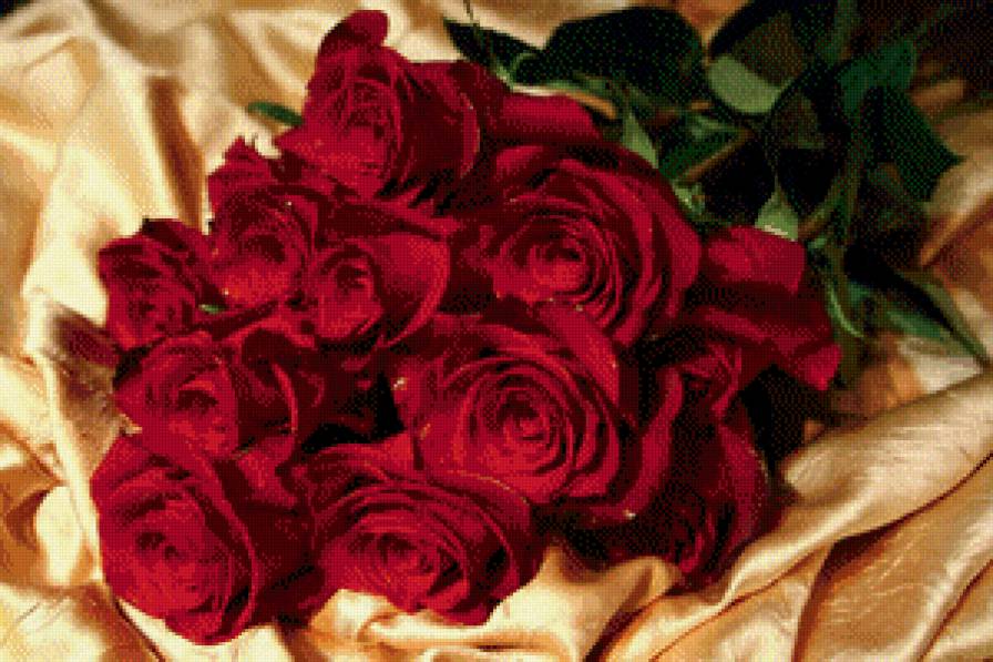 розы - розы - предпросмотр