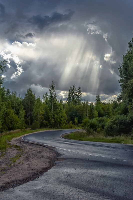 Дорога в дождь - дорога, лес, облака, дождь - оригинал