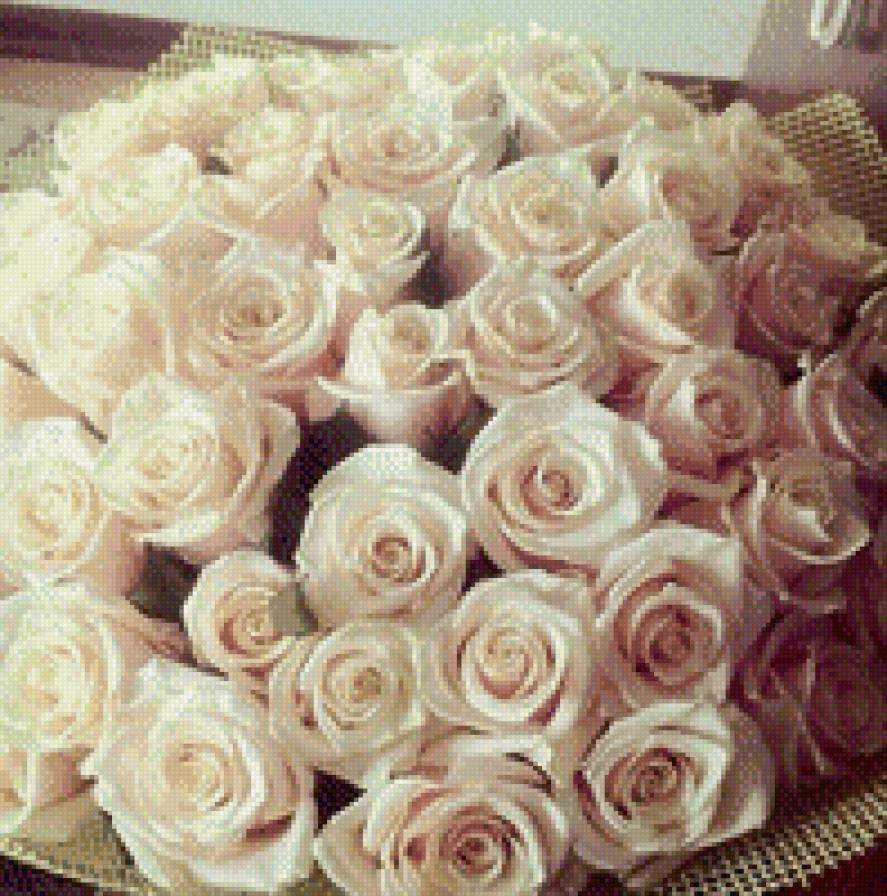 №1005884 - розы, цветы - предпросмотр