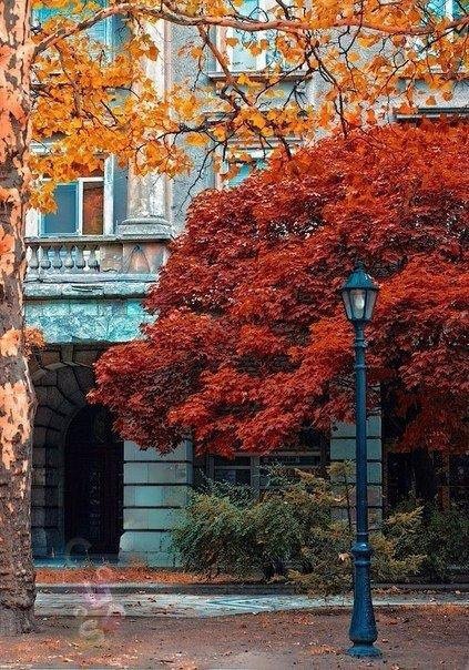 Осенняя улица - осень - оригинал