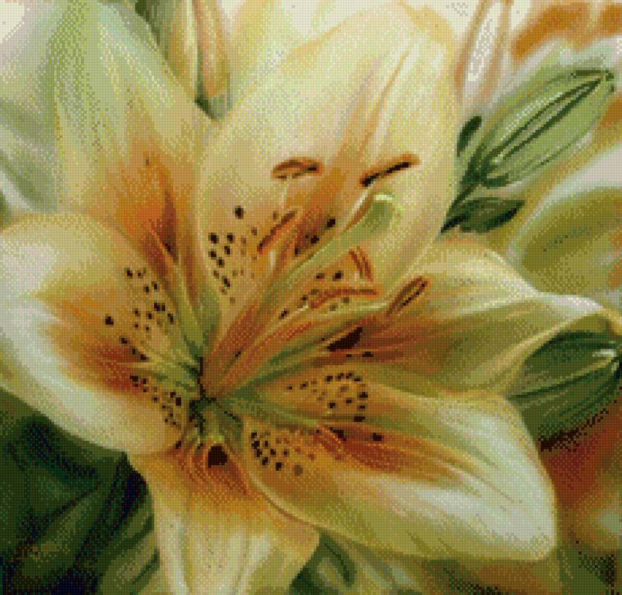 ЛИЛИ - предпросмотр