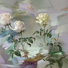 Схема вышивки «на белом»