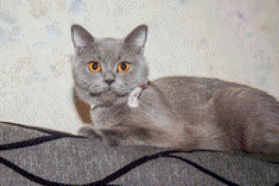 БОНЕЧКА - предпросмотр