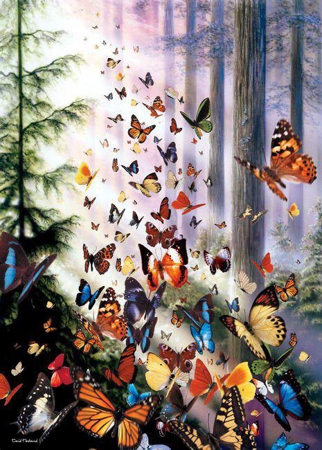 бабочки в лесу - бабочки, свет, лес - оригинал