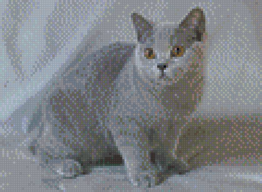 БОСЕНЬКА4 - предпросмотр