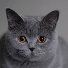 Схема вышивки «БОНЕЧКА6»