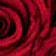 Предпросмотр схемы вышивки «розы  красные» (№1006786)