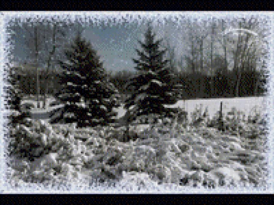 снежный лес - предпросмотр