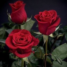 Схема вышивки «№1006881»