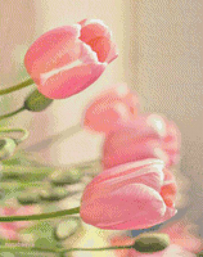 №1006937 - тюльпаны, цветы - предпросмотр