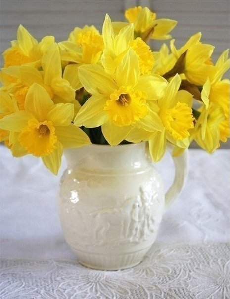 №1007009 - цветы, букет, нарциссы - оригинал