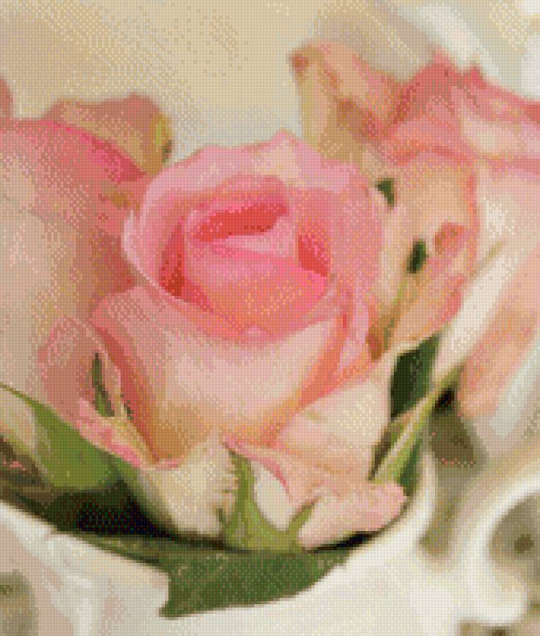 №1007152 - розы, цветы - предпросмотр