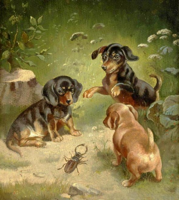 Щенки и жук - щенки, жук - оригинал