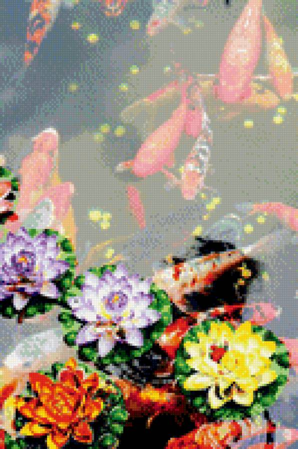 красота востока - вода, водяные лилии, озеро, рыбы, цветы, лилии - предпросмотр