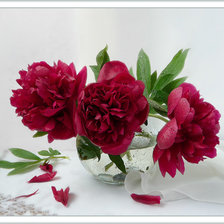 Схема вышивки «пионы»