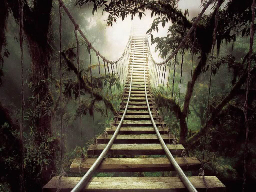 Джунгли - джунгли, мост - оригинал