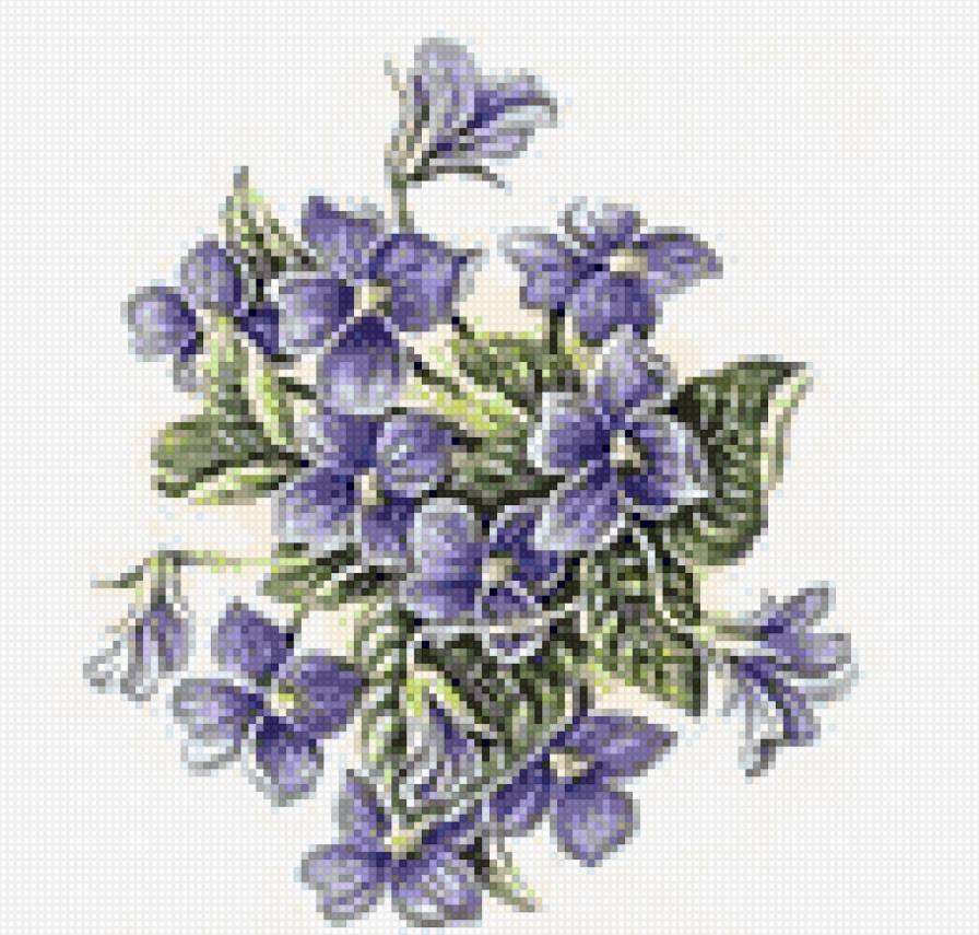 фиалки - фиалки, букетик, дмс, цветы - предпросмотр