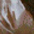 Предпросмотр схемы вышивки «Пол Хедли 4» (№1007576)