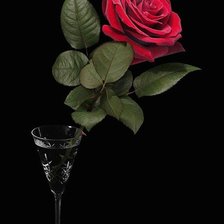 Оригинал схемы вышивки «№1007733»