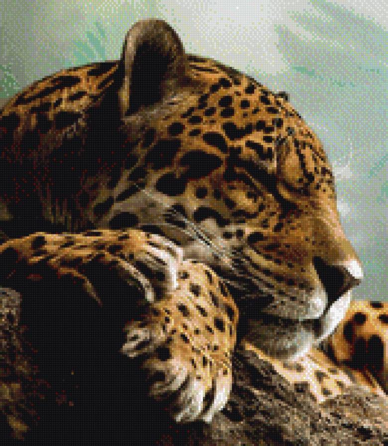 №1007825 - предпросмотр