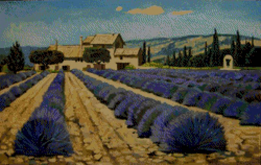 Прованс. Лавандовое поле - прованс, лаванда, франция - предпросмотр