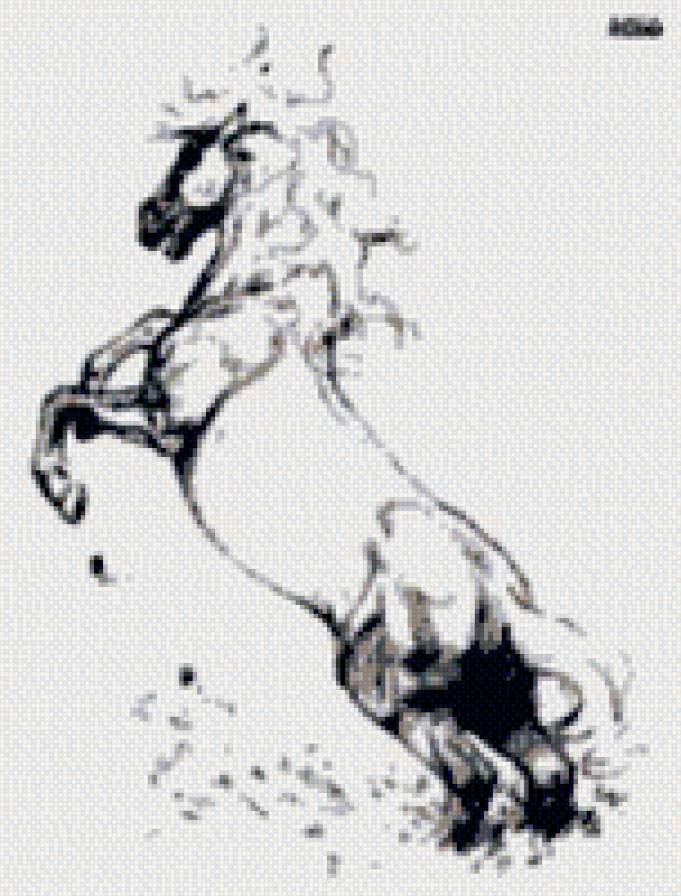 Конь - предпросмотр