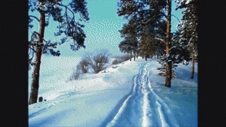 дорога среди сосен 1. - предпросмотр