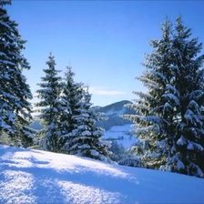 Схема вышивки «зимняя поляна.»