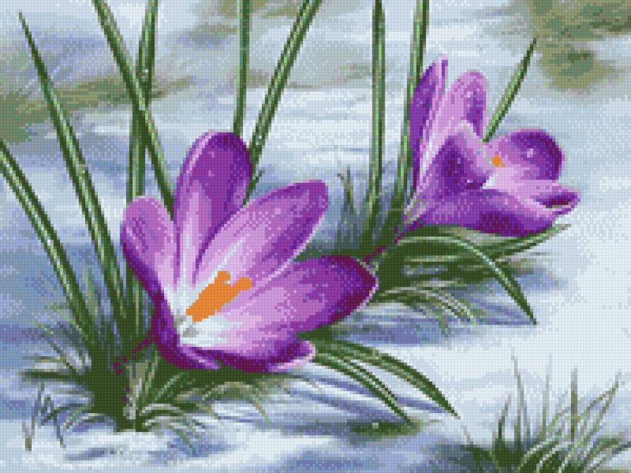 перші квіти весни - предпросмотр