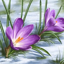 Схема вышивки «перші квіти весни»