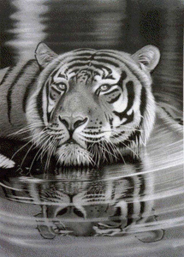 в мире животных - животные, пейзаж, природа, тигры - предпросмотр