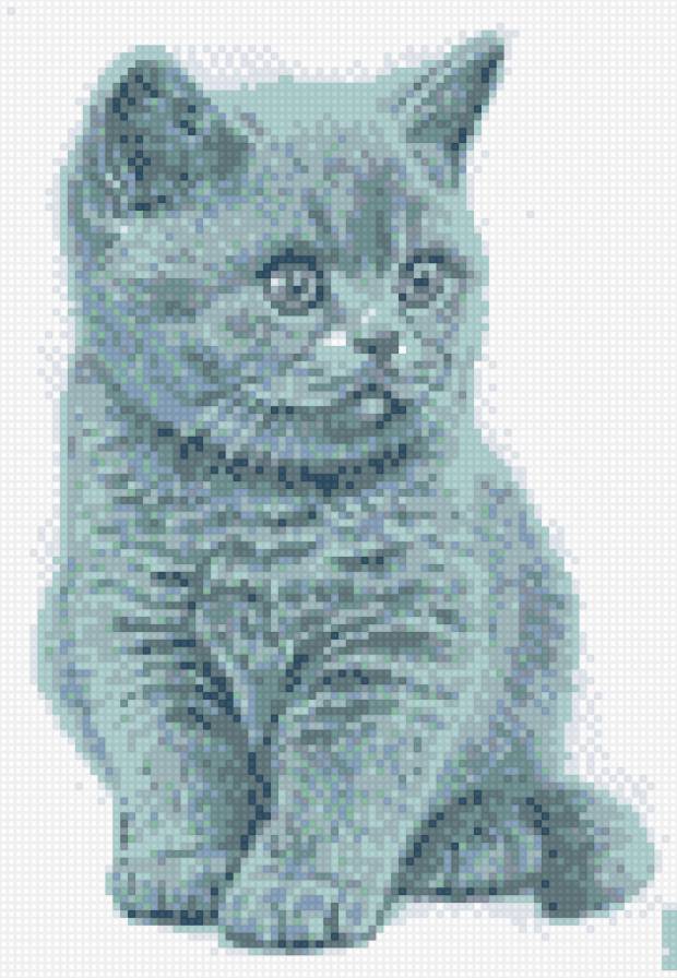 cat - предпросмотр