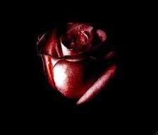 Схема вышивки «Роза»