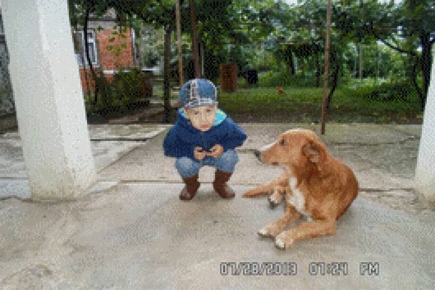 №1009187 - предпросмотр